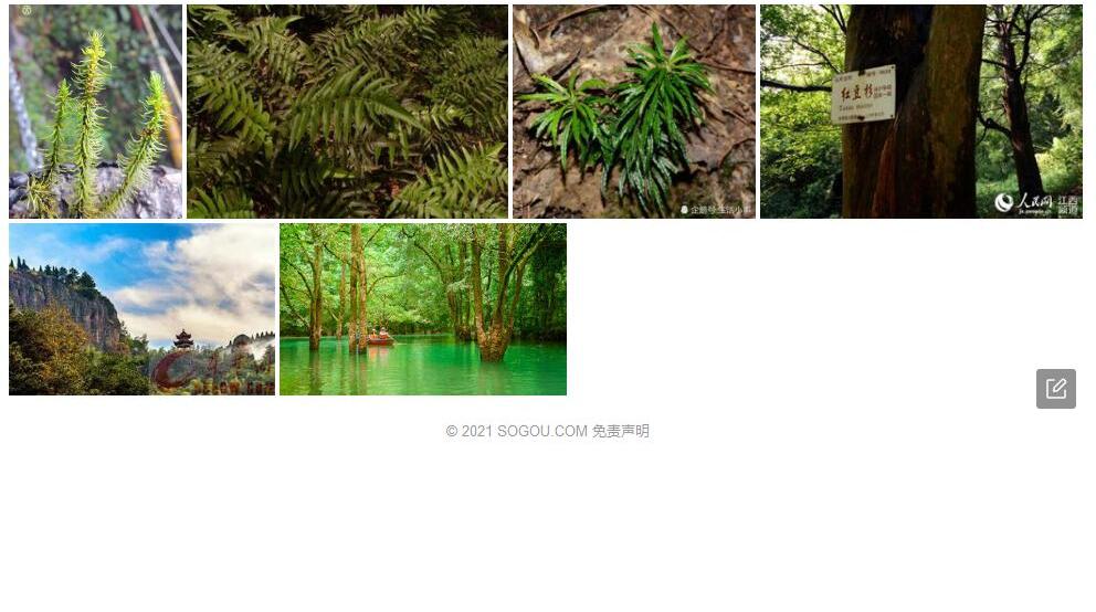 雷山石杉照片和图片/