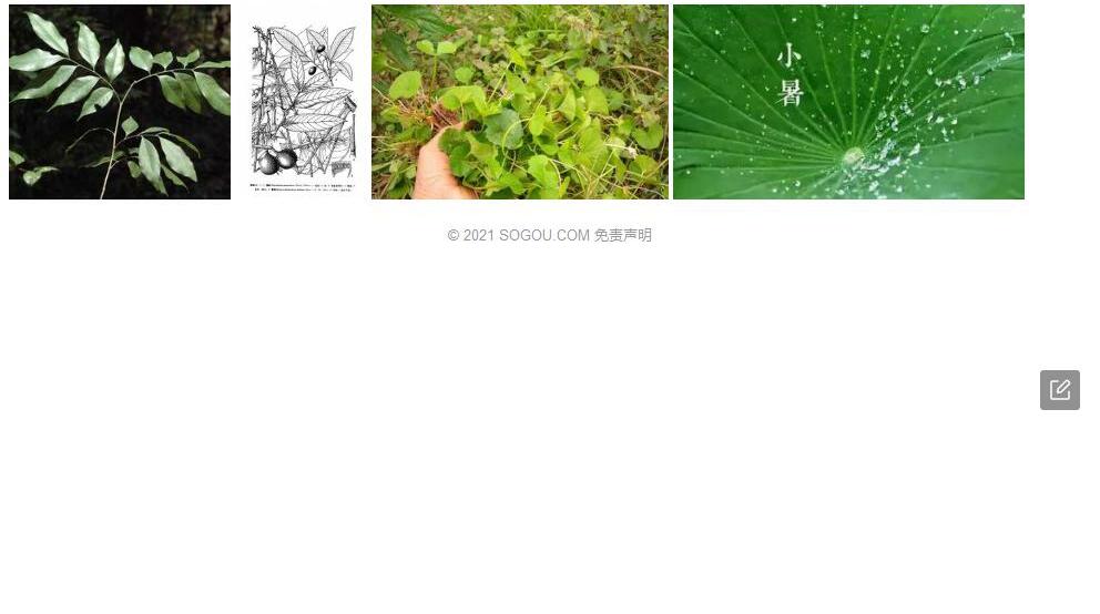 雷楝照片和图片/