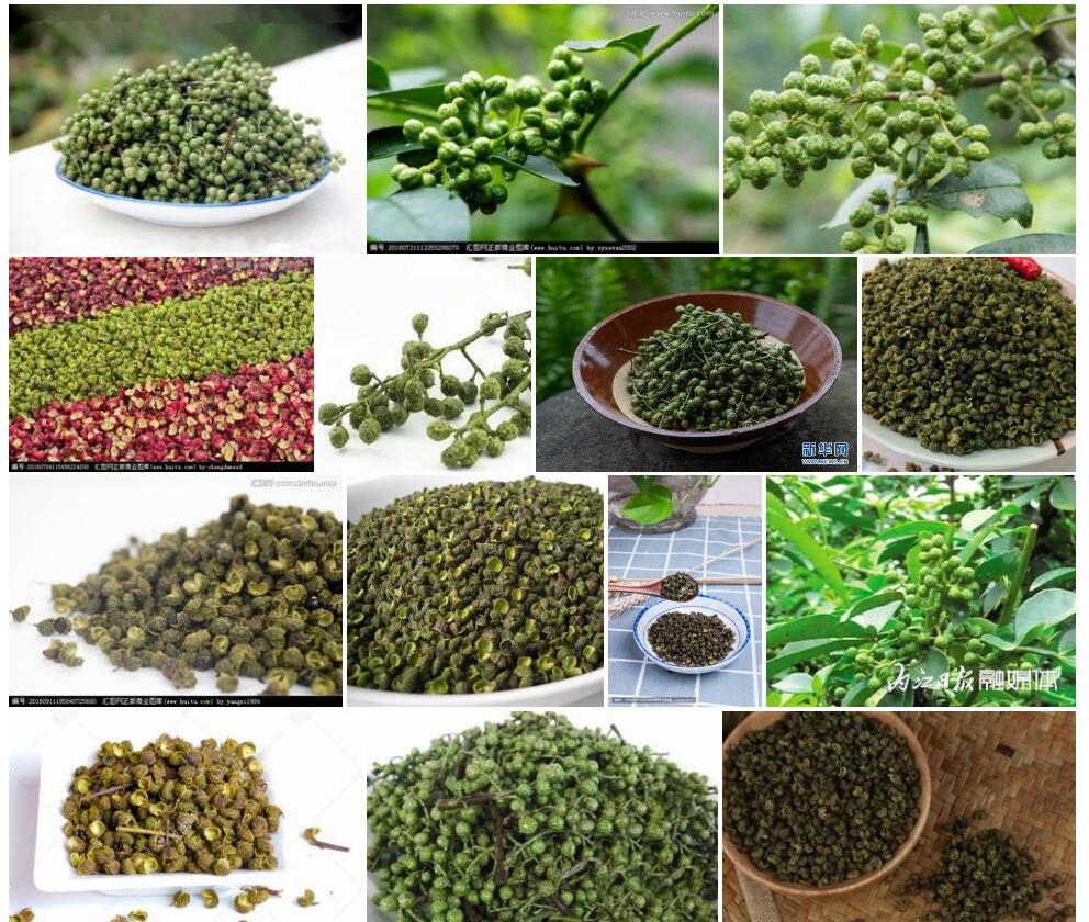 青花椒照片和图片/