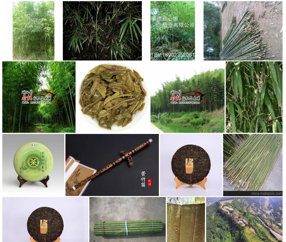 青苦竹照片和图片/