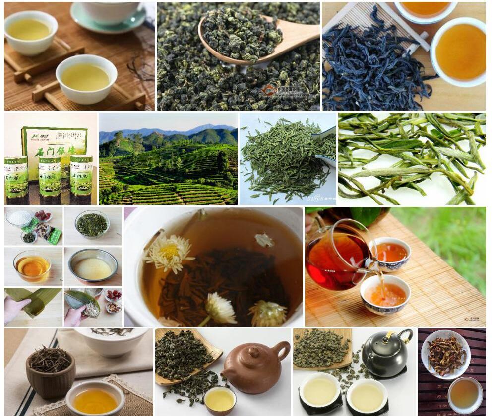 青茶香照片和图片/