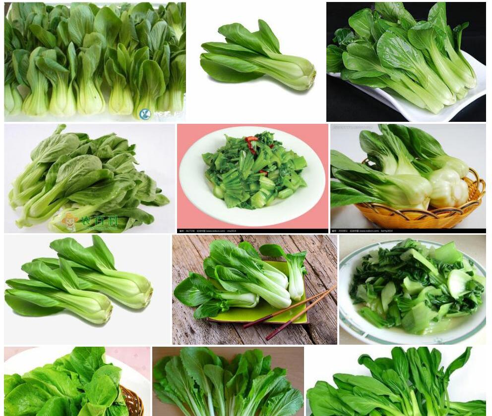 青菜照片和图片/