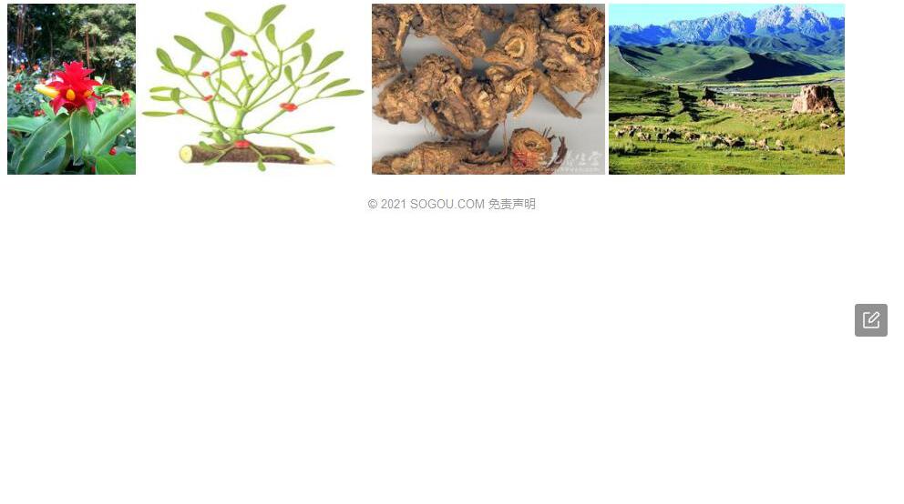 鞘山芎照片和图片/