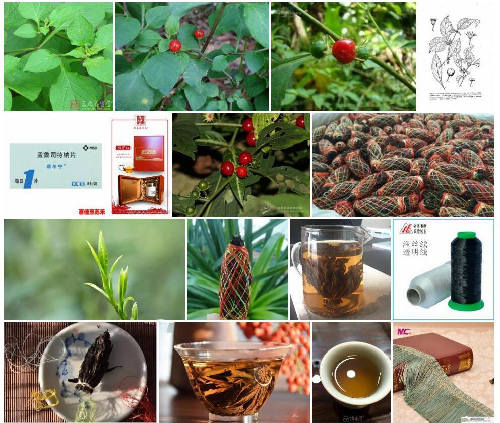 顺宁红丝线照片和图片/