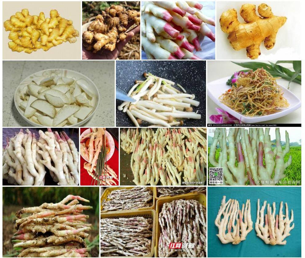 香姜照片和图片/