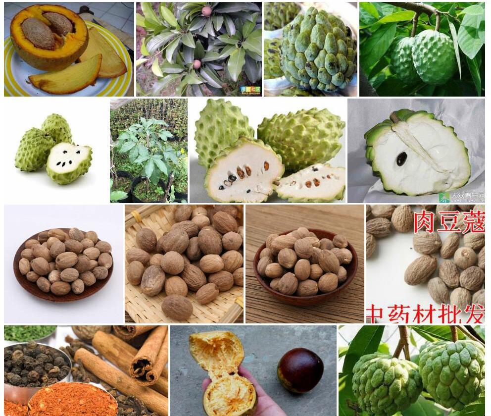 香肉果照片和图片/