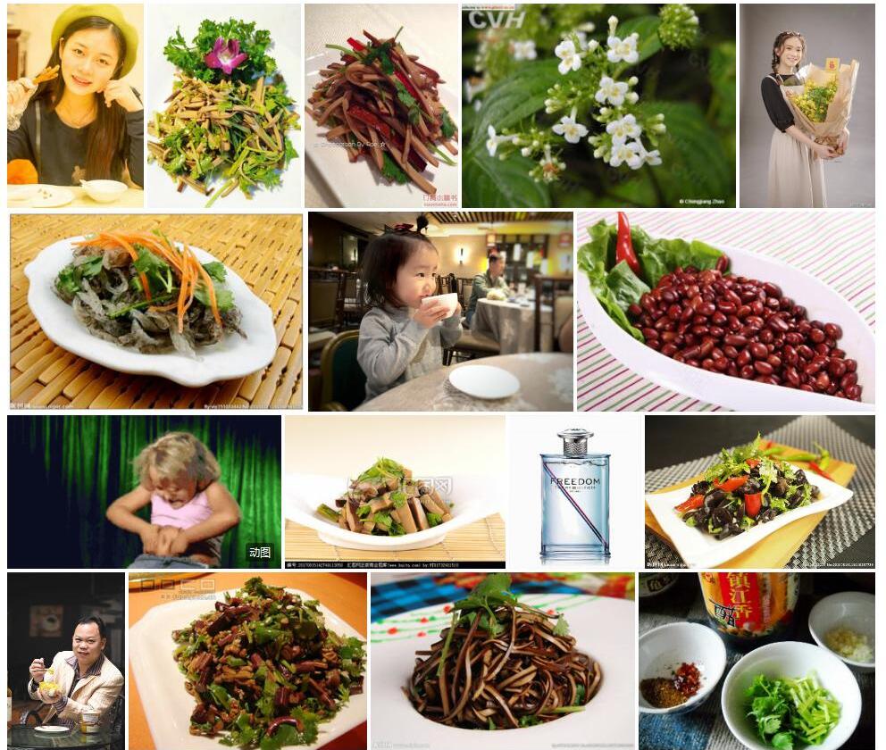 香茜照片和图片/