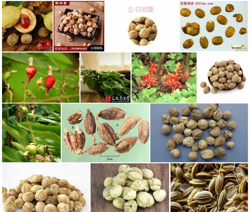 香豆蔻照片和图片/