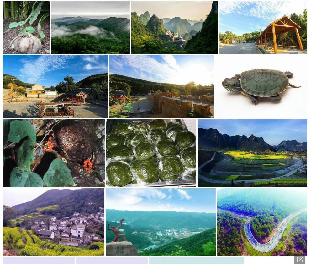 马山地不容照片和图片/