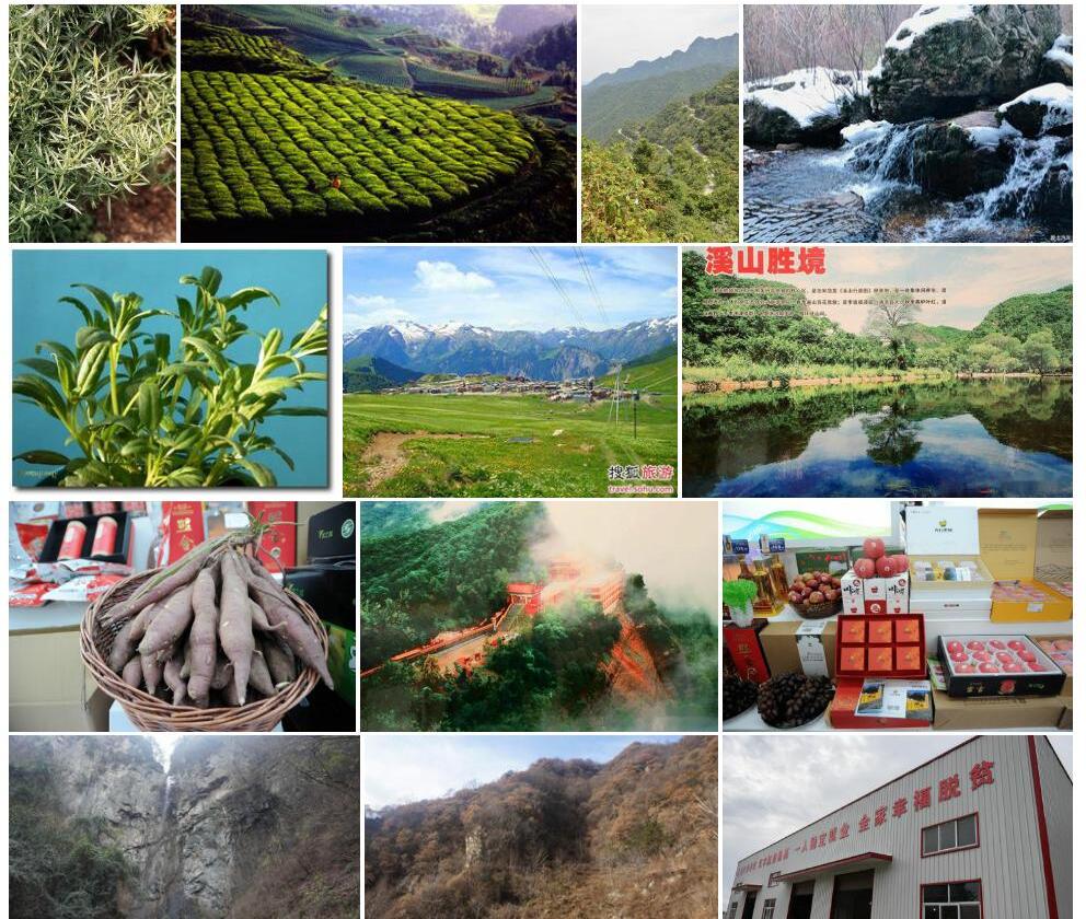 高山艾照片和图片/