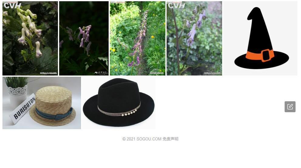 高帽乌头照片和图片/