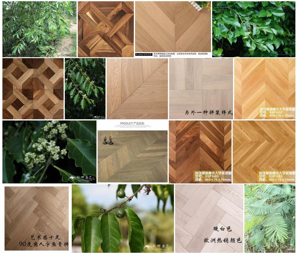 鱼骨木照片和图片/