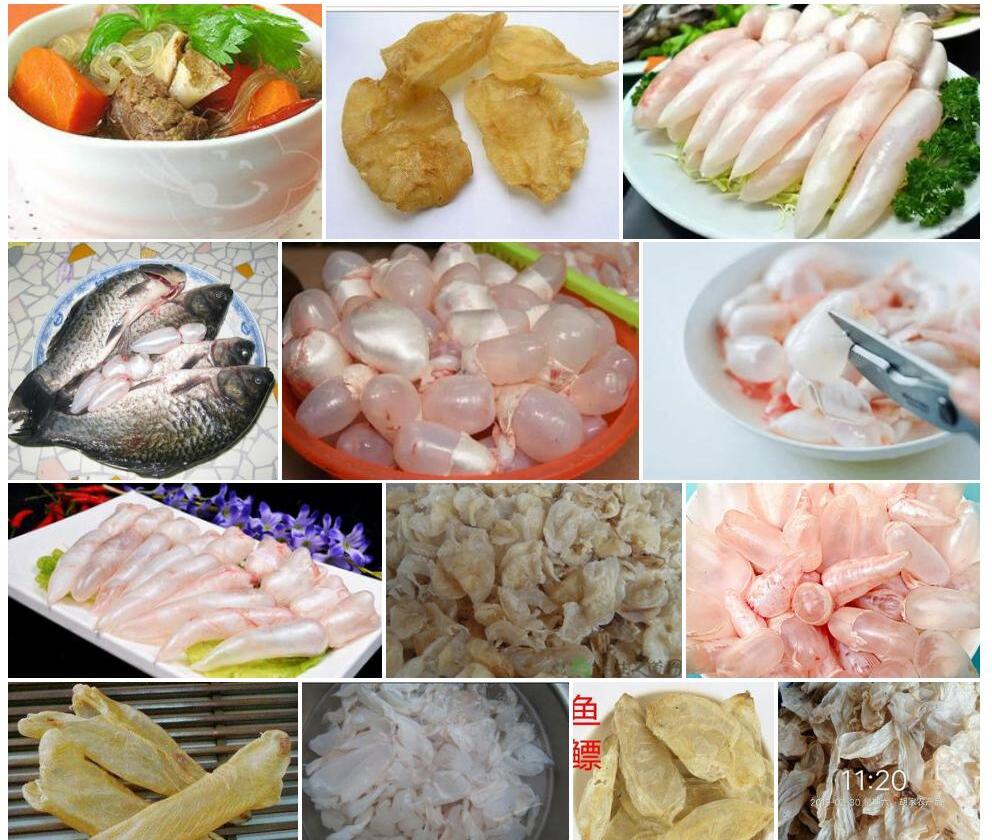 鱼鳔黄耆照片和图片/