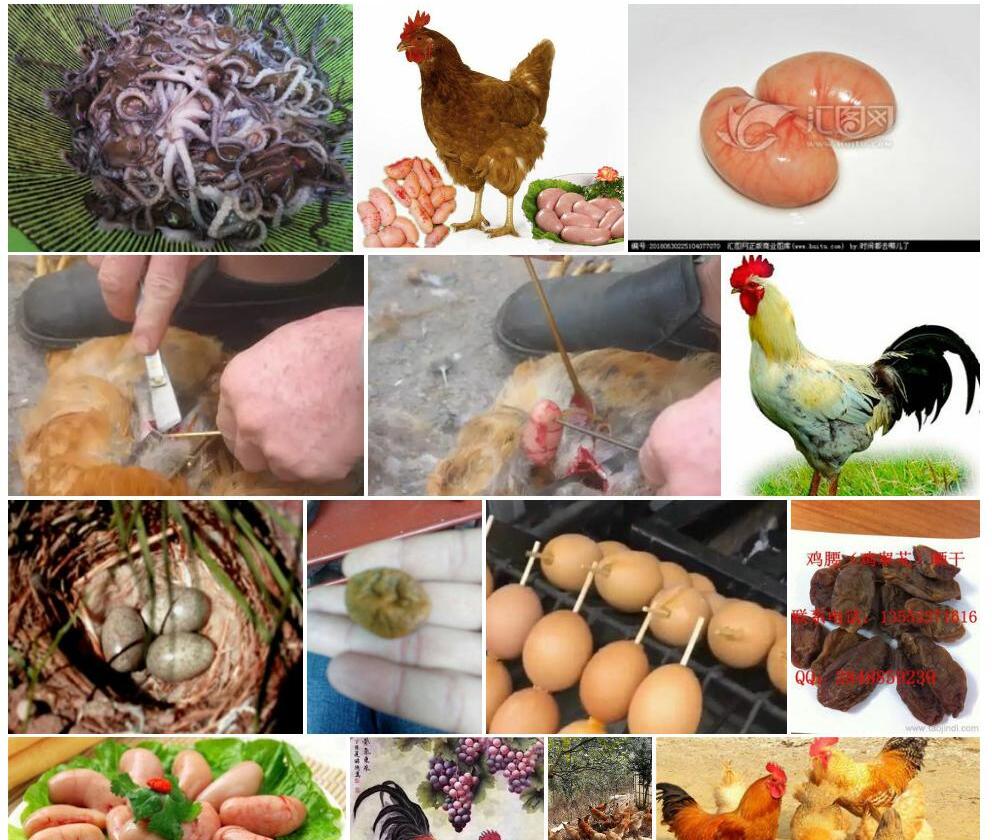 鸡卵槁照片和图片/