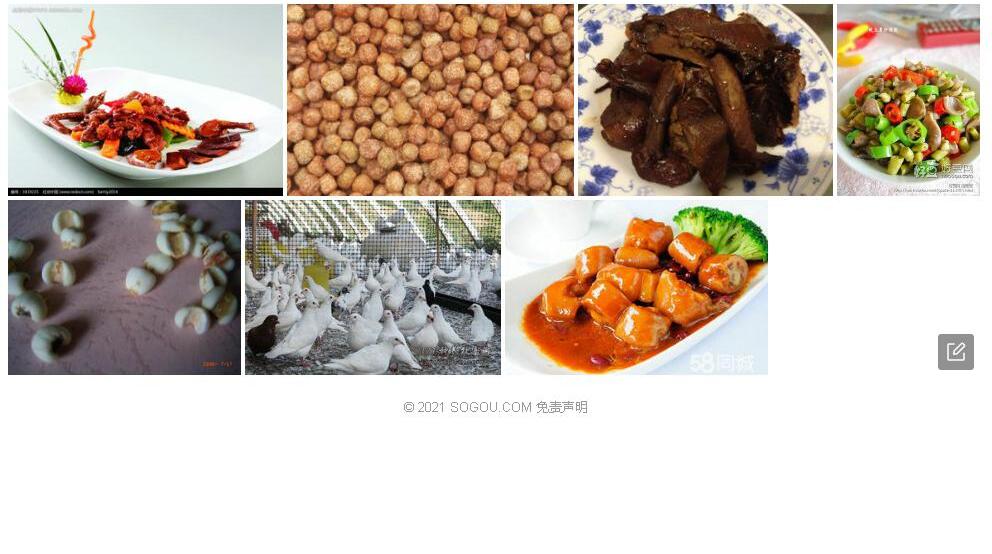 鸽仔豆照片和图片/