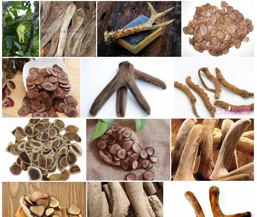 鹿茸木照片和图片/