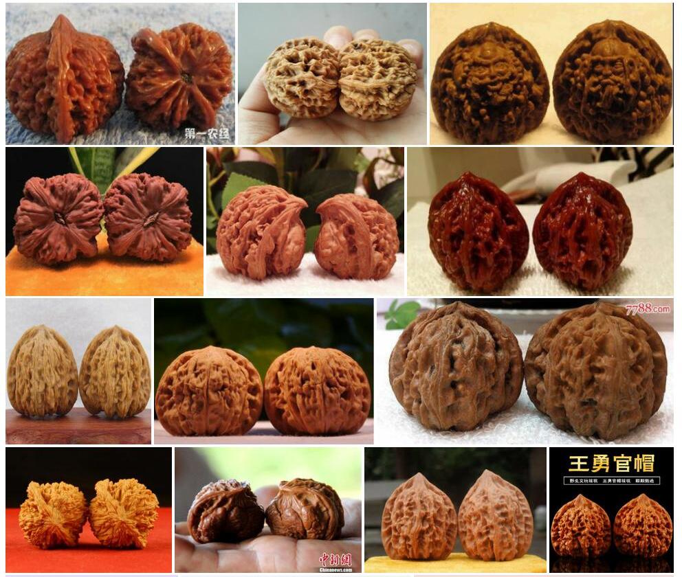 麻核桃照片和图片/