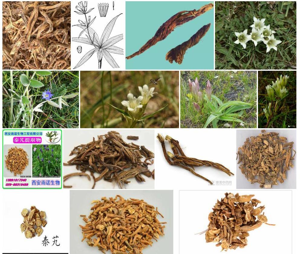 麻花艽照片和图片/