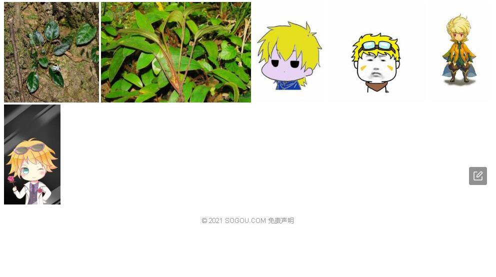 黄毛兔儿风照片和图片/