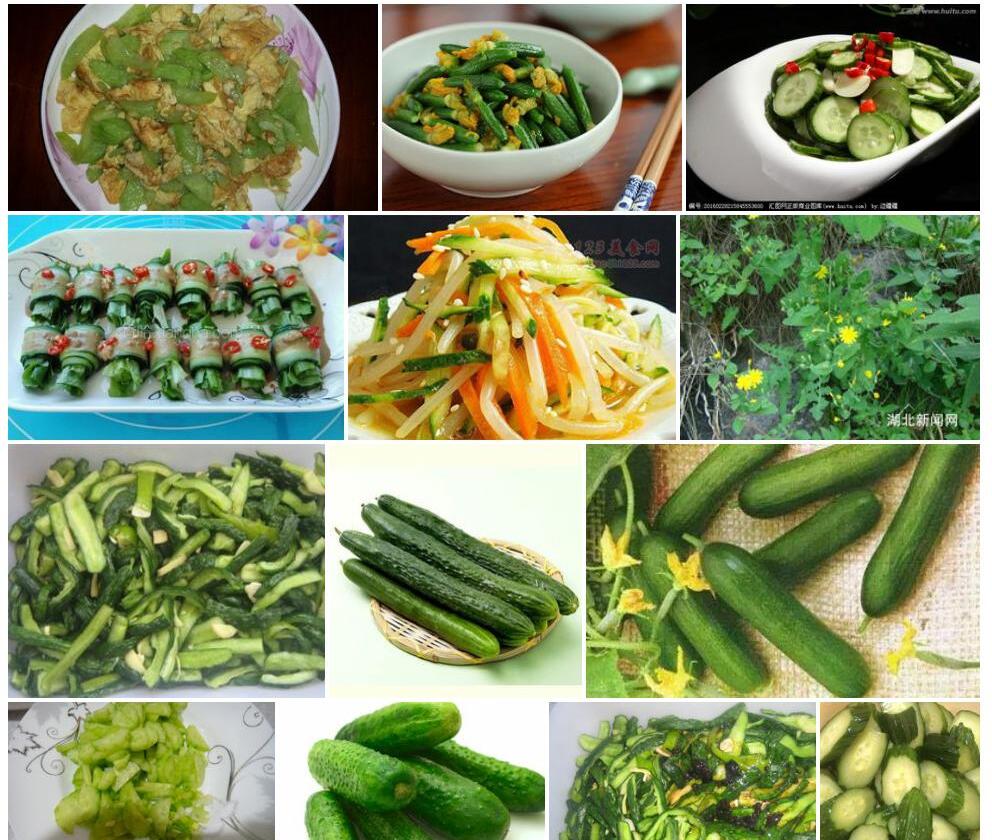 黄瓜菜照片和图片/