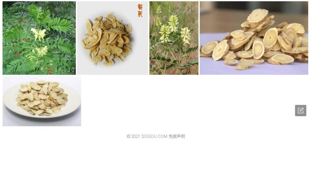 黄白黄耆照片和图片/