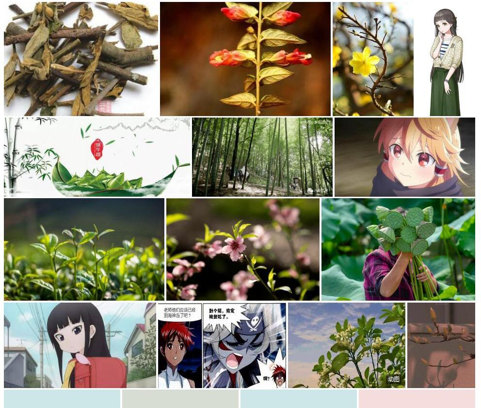 黄背退毛来江藤照片和图片/
