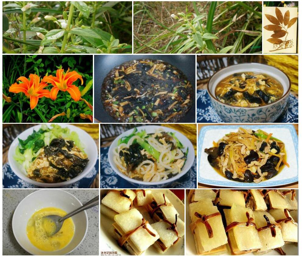 黄花水八角照片和图片/