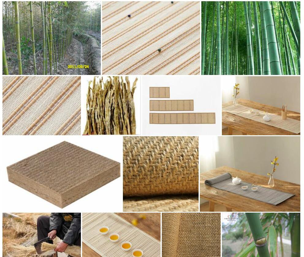 黄麻竹照片和图片/