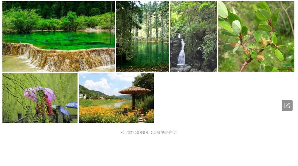 黄龙柳照片和图片/