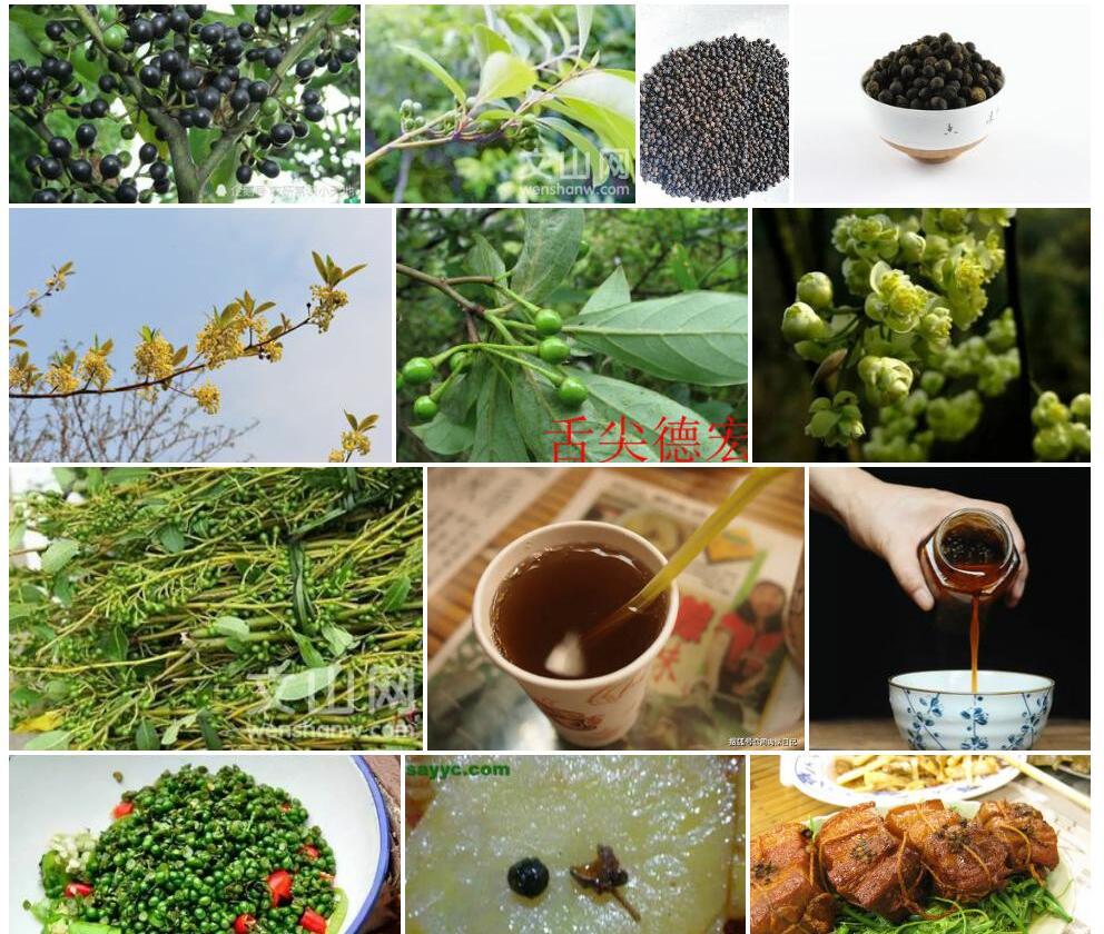 黑木姜子照片和图片/