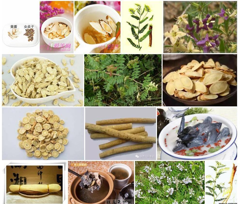 黑毛多枝黄耆照片和图片/