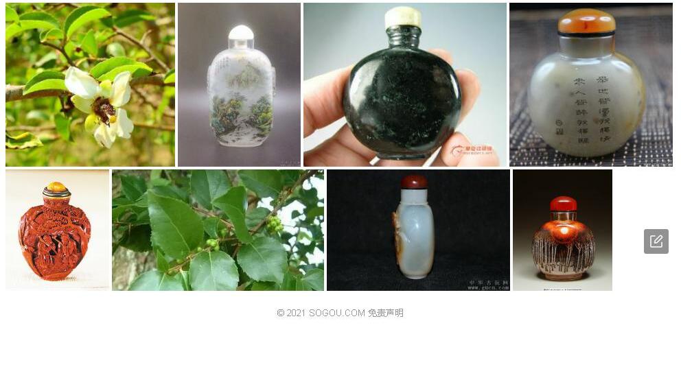 鼻烟盒树照片和图片/