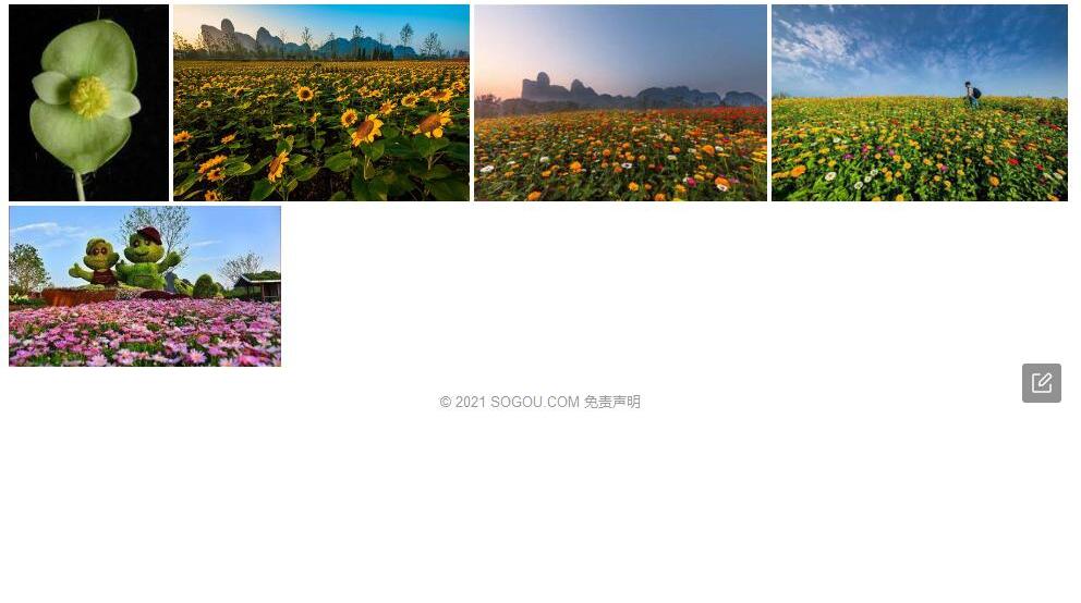 龙虎山秋海棠照片和图片/