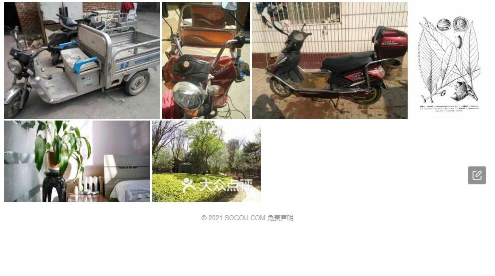 龙迈青冈照片和图片/